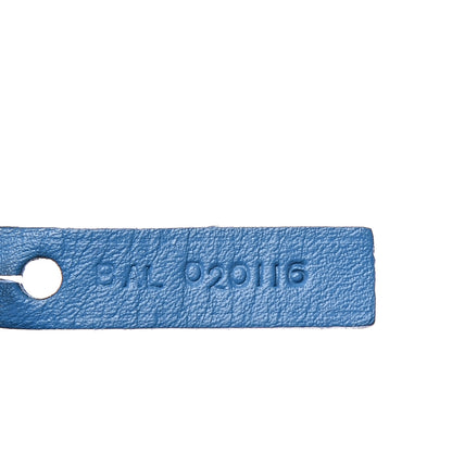 Goyard Goyardine Saint Louis PM Sky Blue 11 of 19