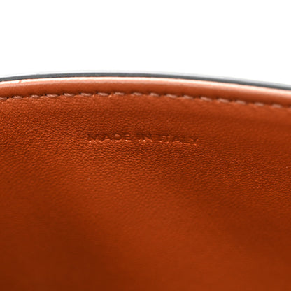 Celine Canvas Calfskin Triomphe Shoulder Bag Tan 7 of 12