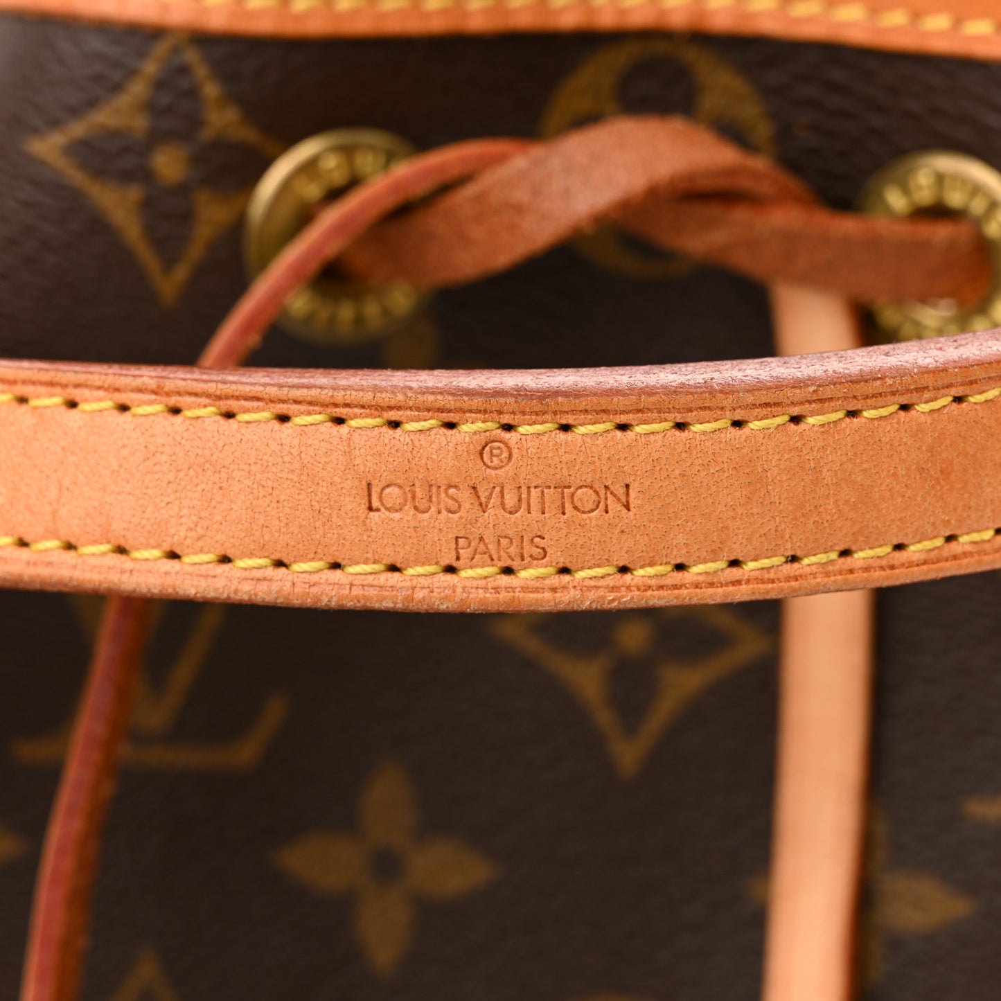 Monogram Mini Noe