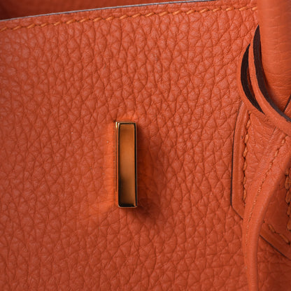 Hermes Togo Birkin 25 Feu 22 of 36