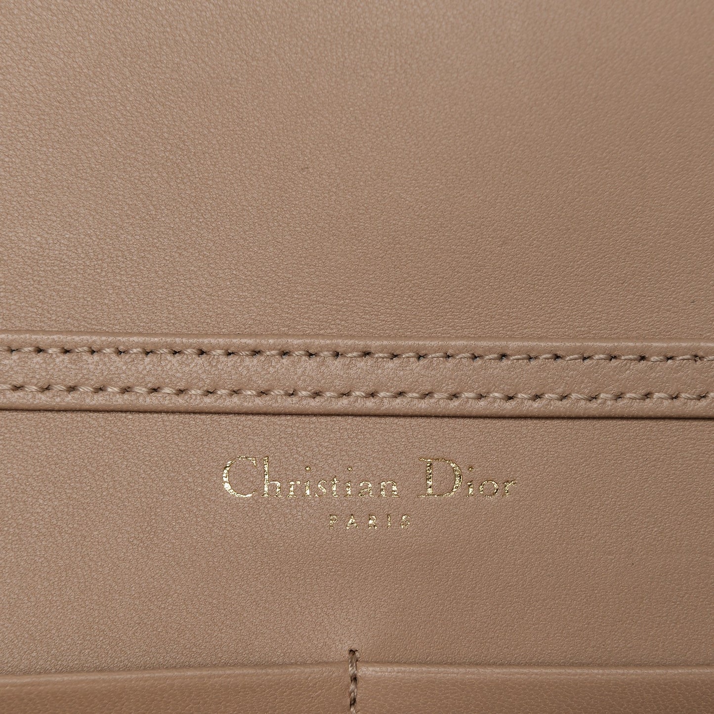 Grained Calfskin Diorama Wallet on Chain Pouch Nude