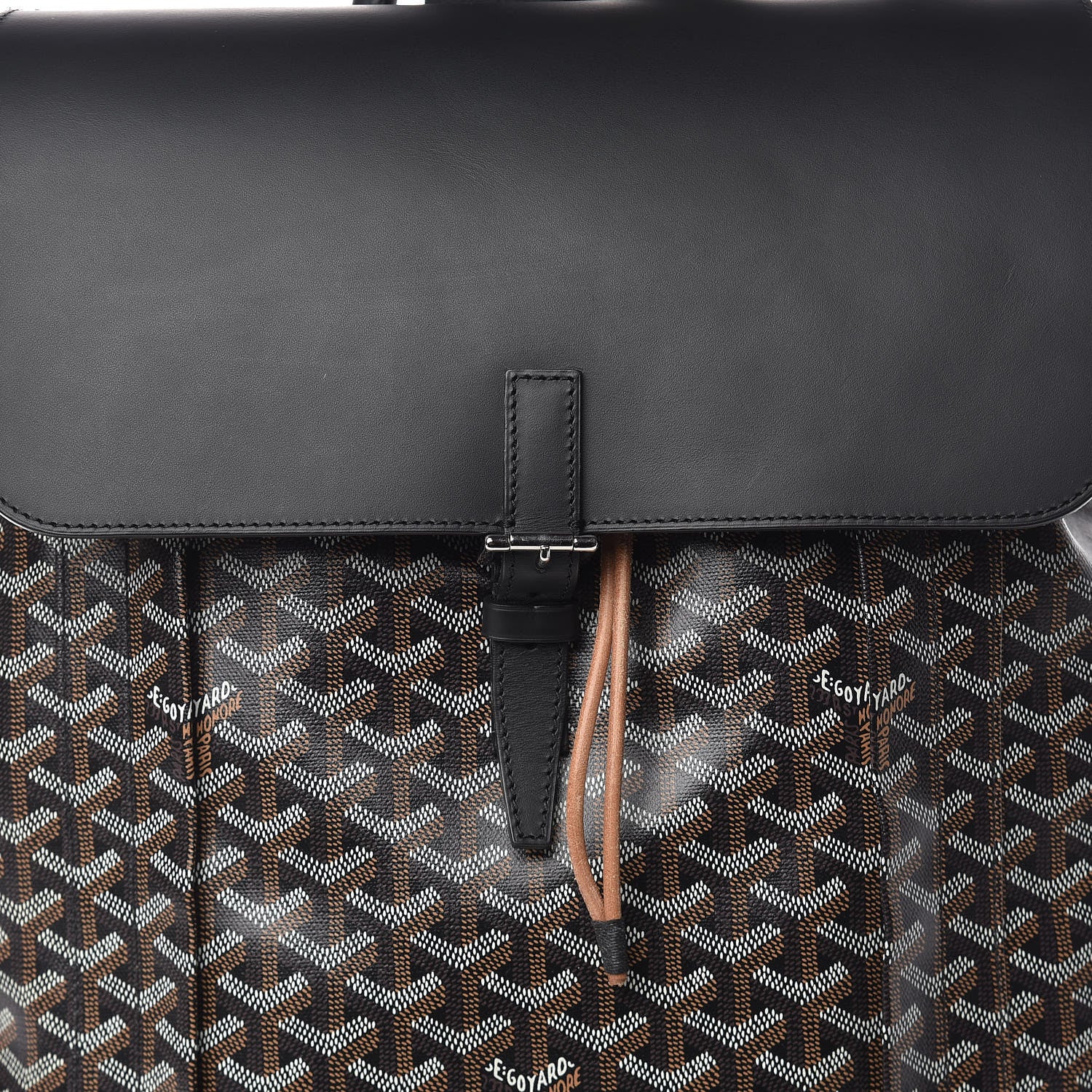 Goyard Goyardine Calfskin Alpin Backpack Black 7 of 12