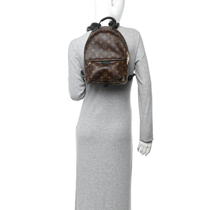 Louis Vuitton Monogram Palm Springs Backpack PM 2 of 9