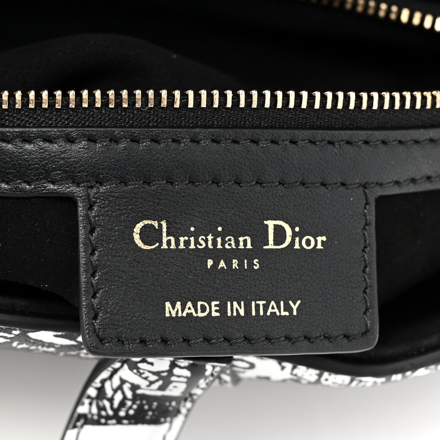 Christian Dior Calfskin Plan De Paris Printed Saddle Bag With Strap White Black 5 of 9