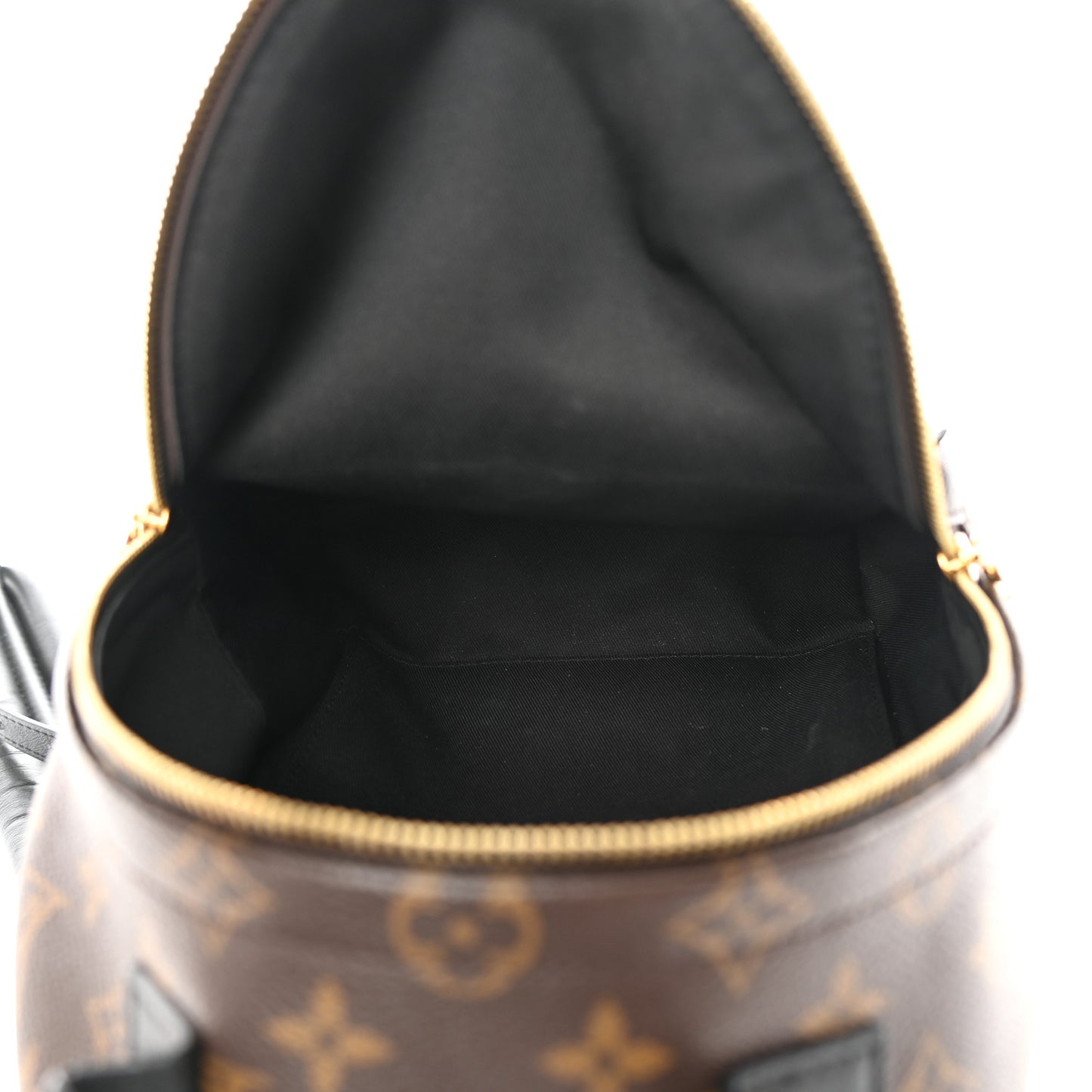 Monogram Palm Springs Backpack PM
