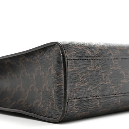 Celine Triomphe Canvas Calfskin Small Vertical Cabas Tan 8 of 15