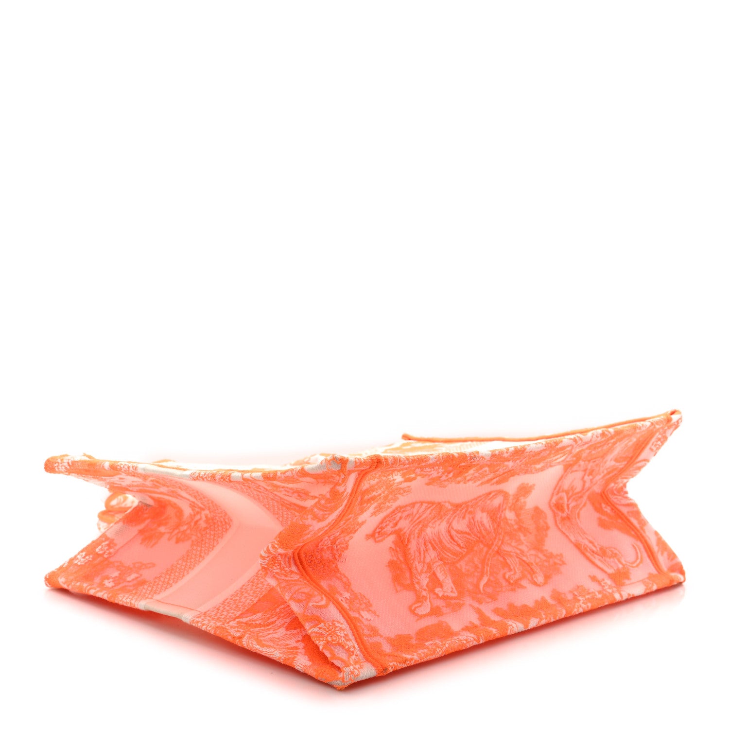 Christian Dior Transparent Canvas Embroidered Medium Dioriviera