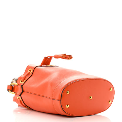 Gucci Softy Wonka Textured Dollar Calfskin Mini Diana Bucket Bag Deep Orange Spicy Cyclamin 4 of 11