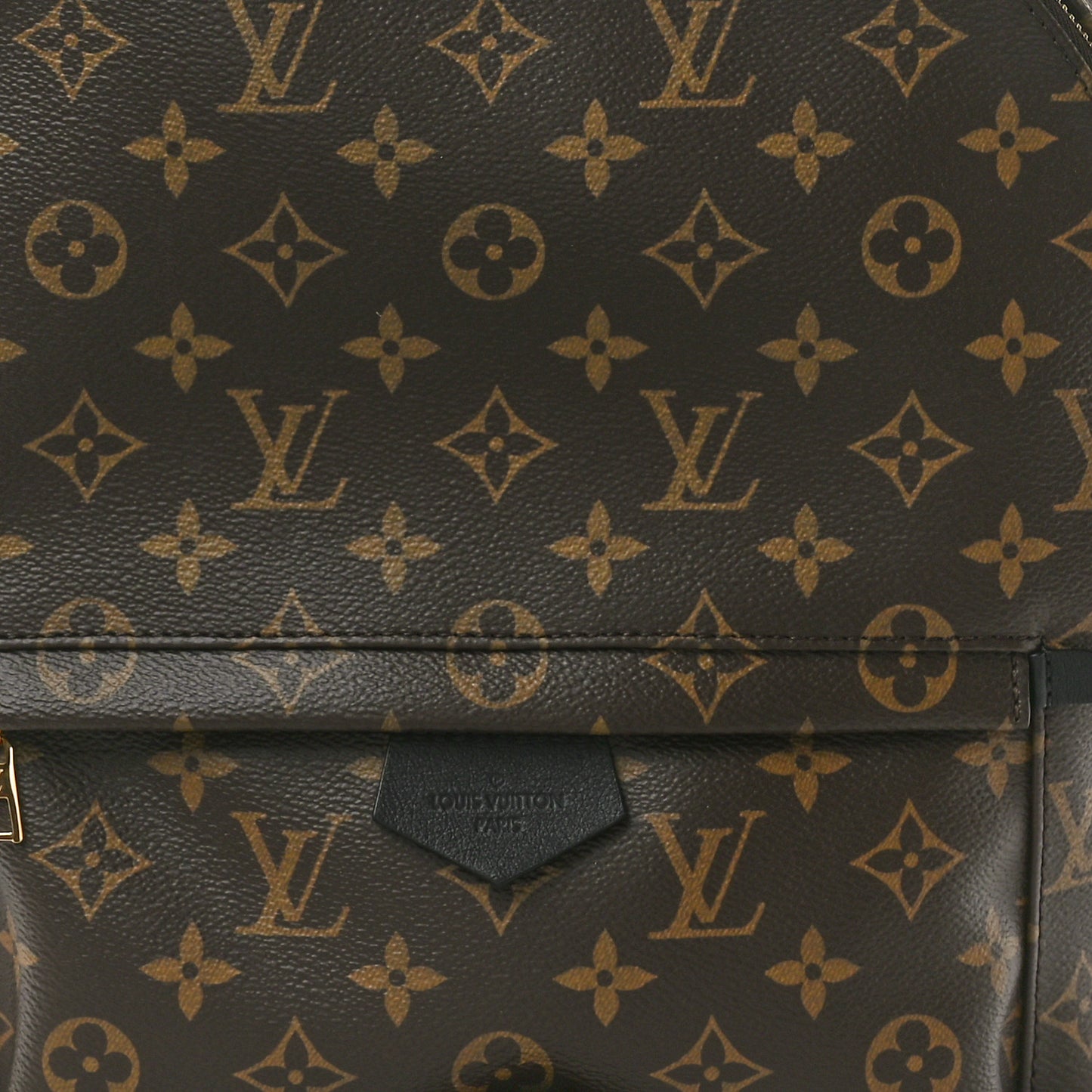 Monogram Palm Springs Backpack MM