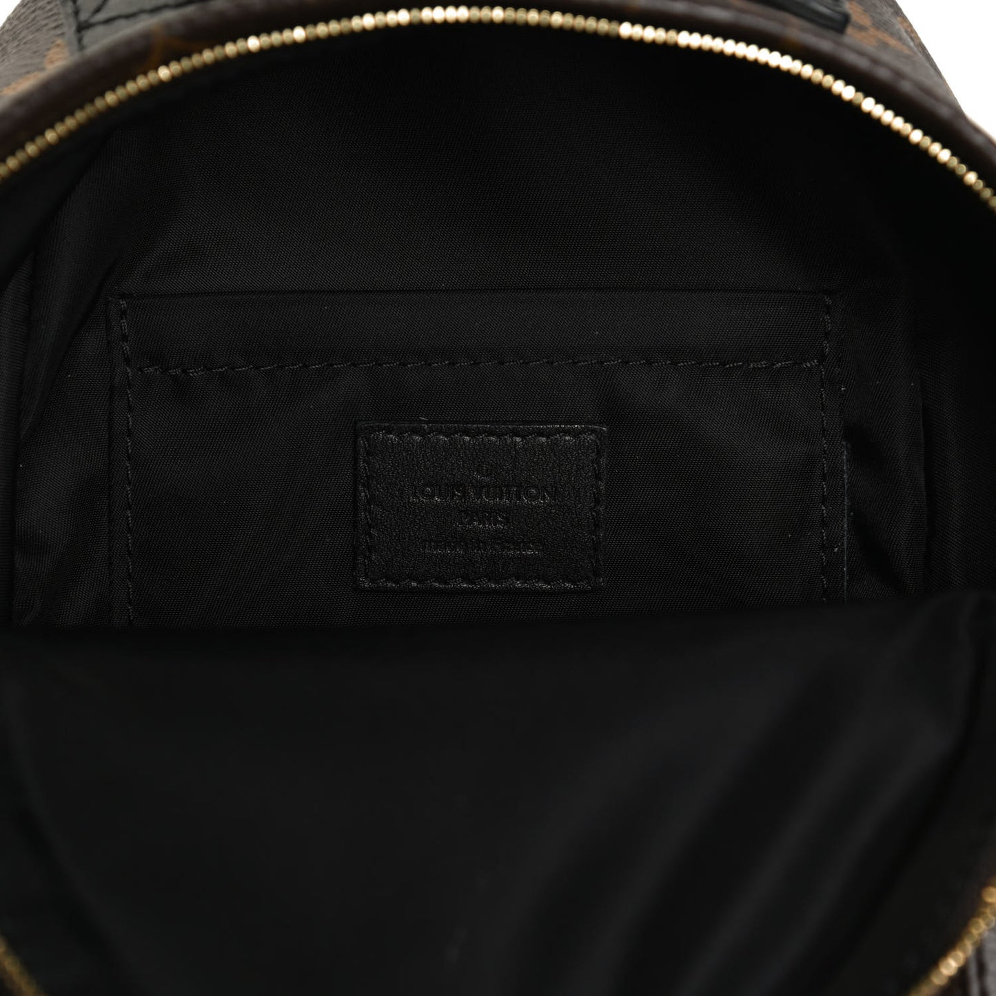 Monogram Palm Springs Backpack Mini