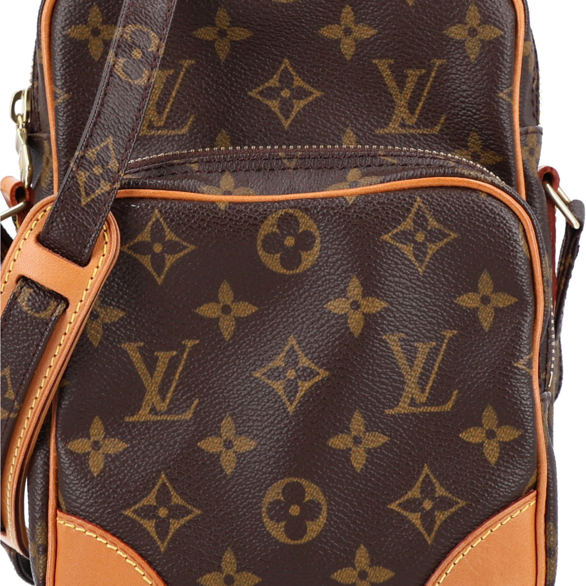 Louis Vuitton Monogram Amazone 8 of 10