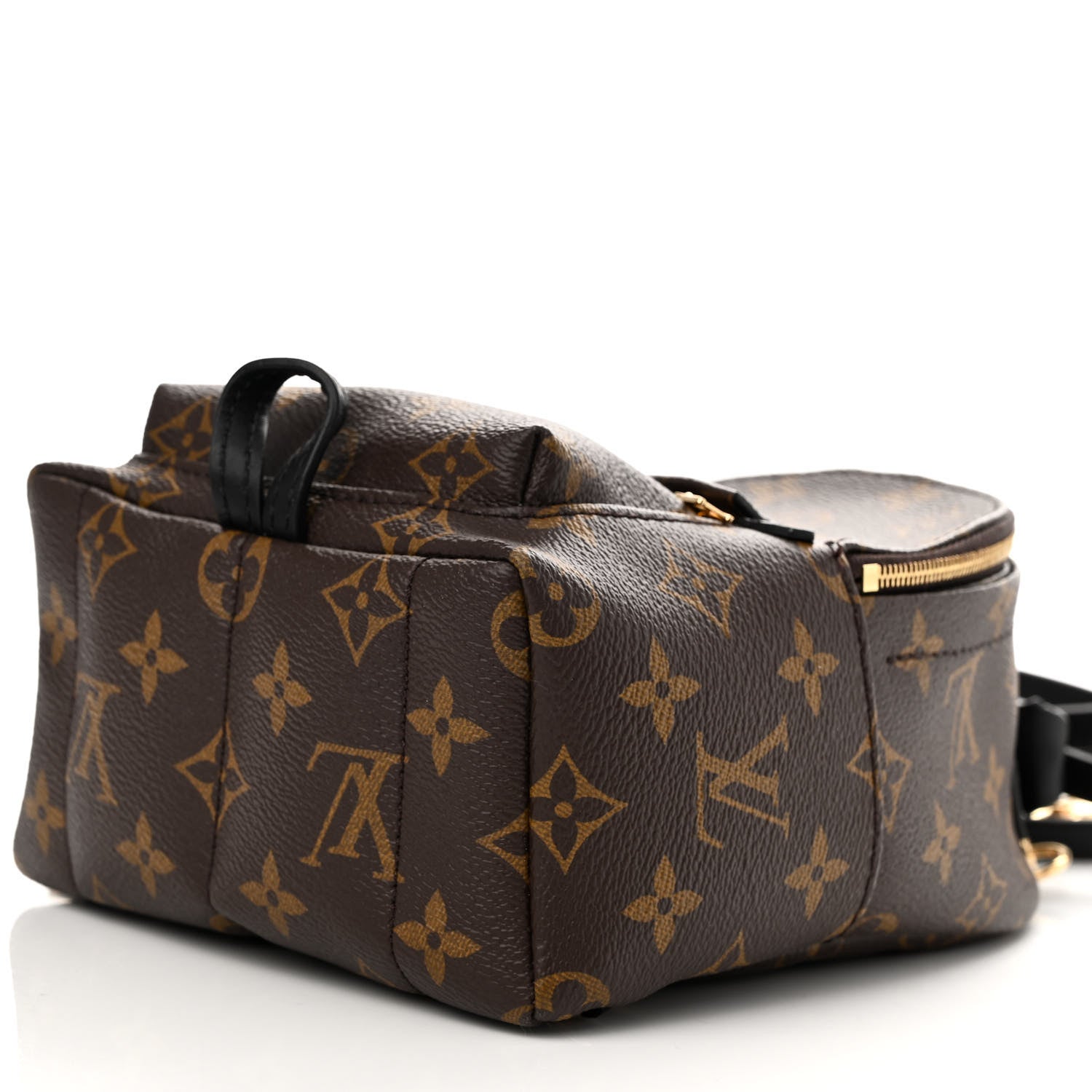 Louis Vuitton Monogram Palm Springs Backpack Mini 7 of 12