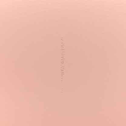 Celine Smooth Calfskin Medium Classic Box Flap Bag Pink 14 of 14