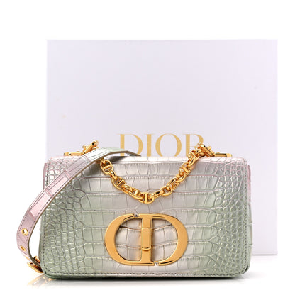 Christian Dior Metallic Alligator Small Caro Bag Multicolor 11 of 11