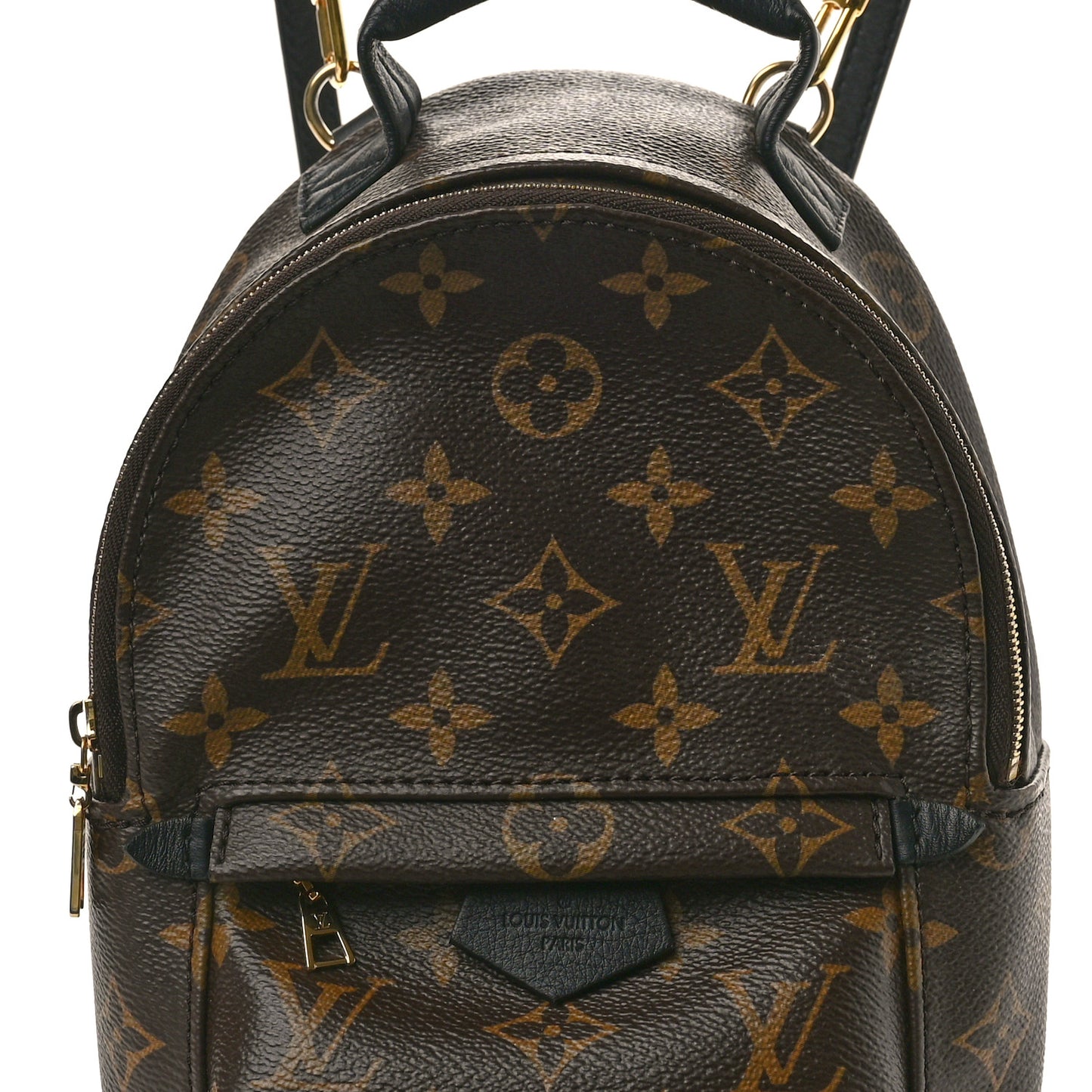 Monogram Palm Springs Backpack Mini