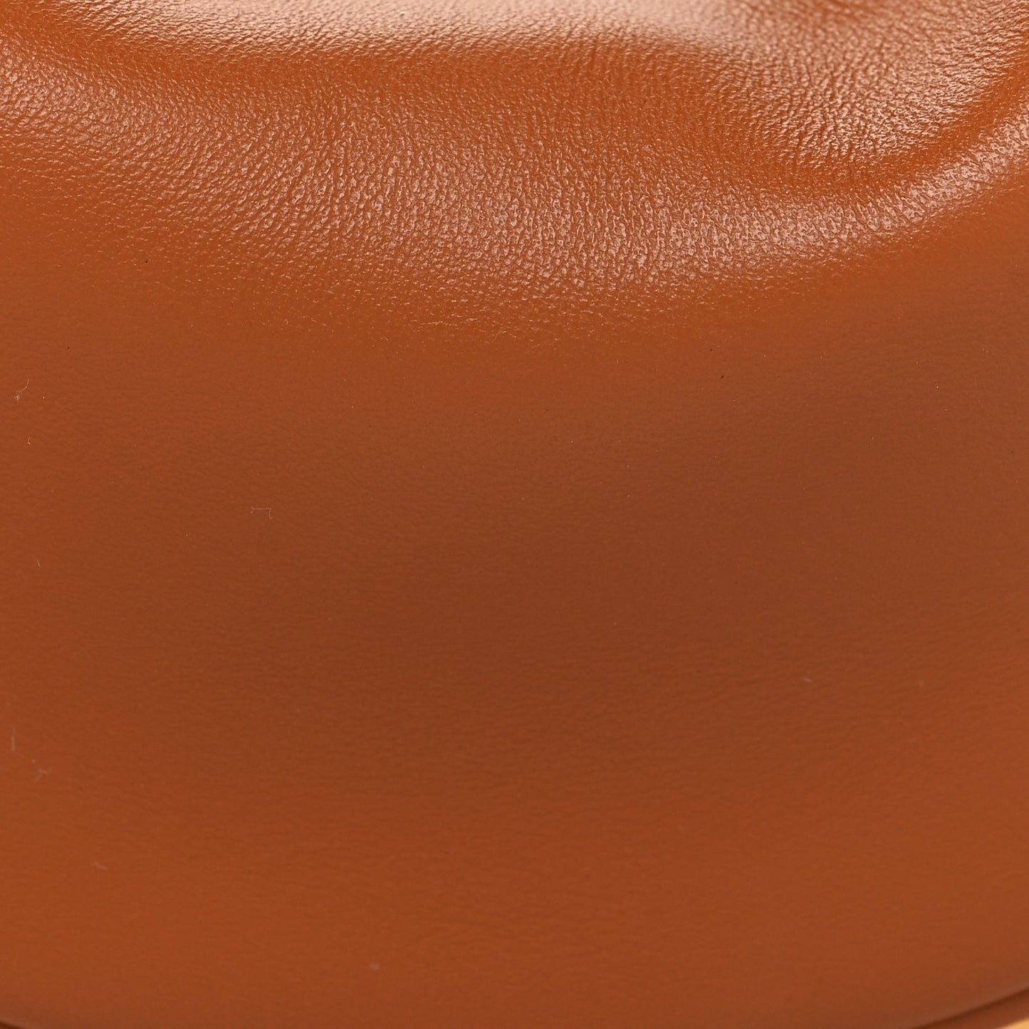 Vitello Grace Matte Nano Fendigraphy Hobo Charm Brandy