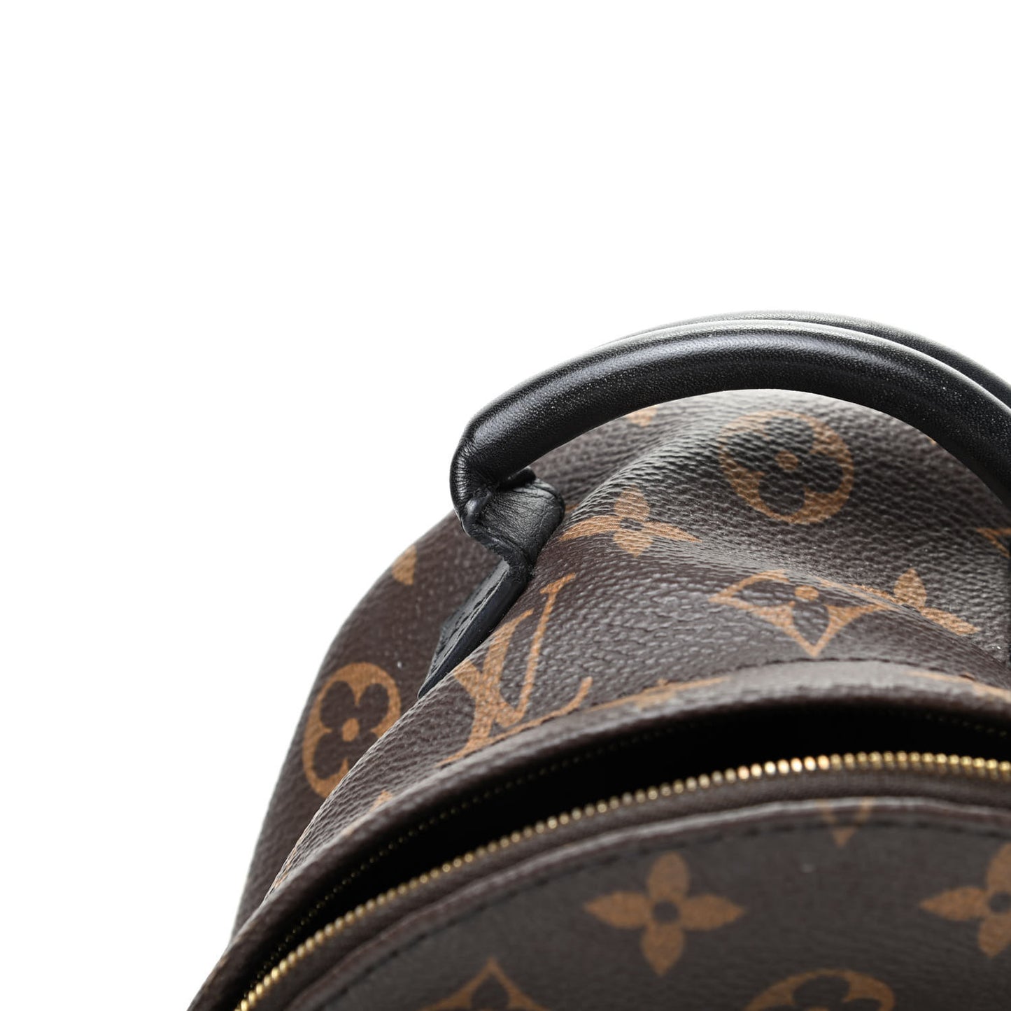 Monogram Palm Springs Backpack Mini