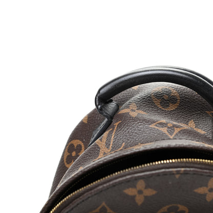 Louis Vuitton Monogram Palm Springs Backpack Mini 13 of 13