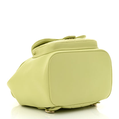 Chanel Lambskin Quilted Large Duma Drawstring Backpack Light Green 4 of 10