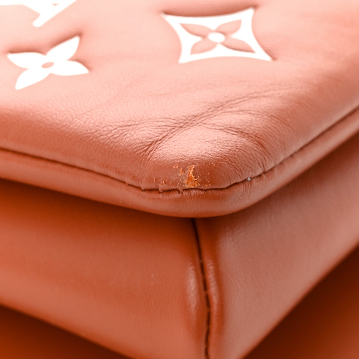 Lambskin Embossed Monogram Coussin PM Terracotta Brown