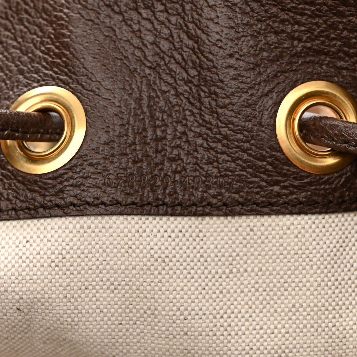 Monogram Jumbo GG Textured Dollar Calfskin Web Double Buckle Backpack Camel Ebony New Acero
