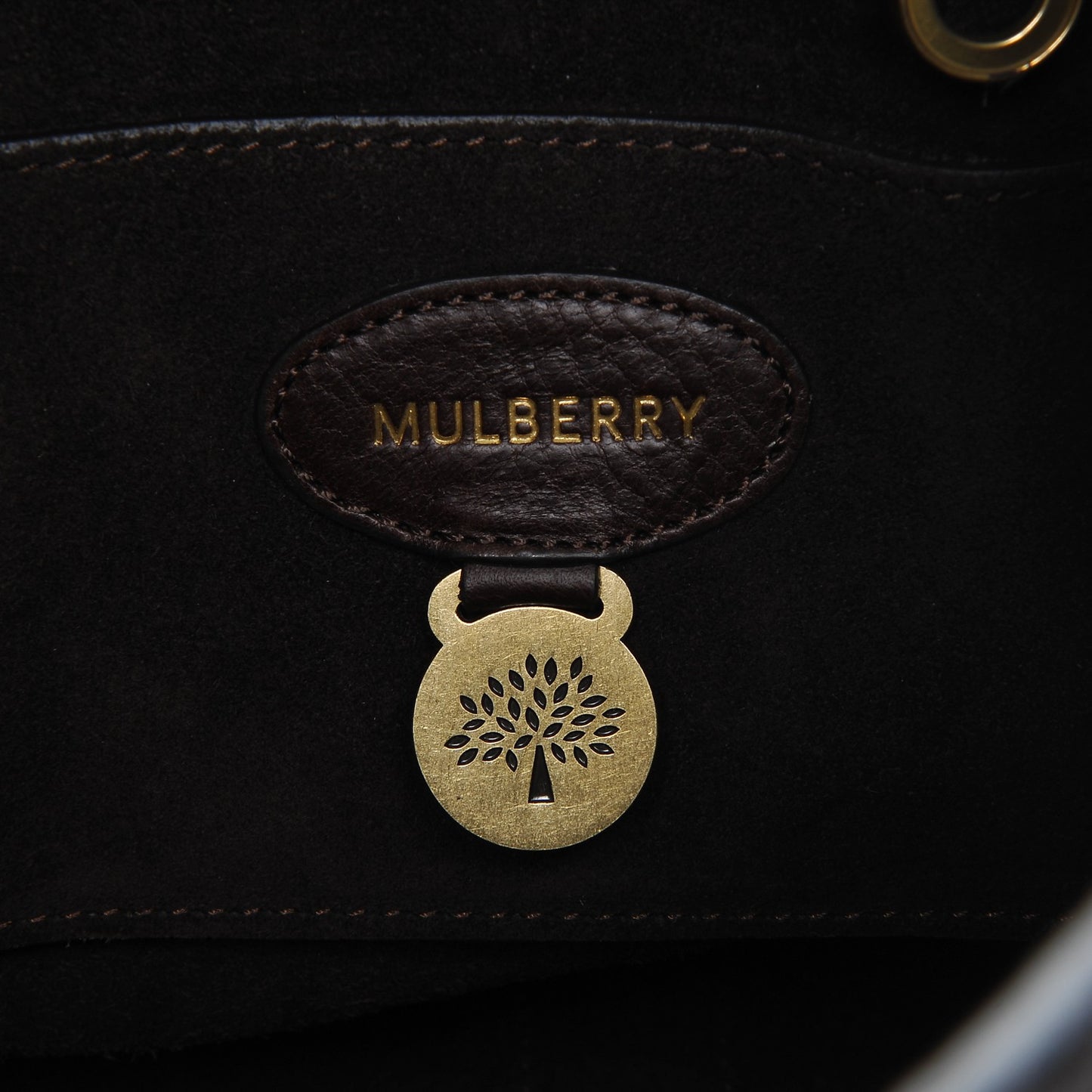 Crocodile Embossed Bayswater