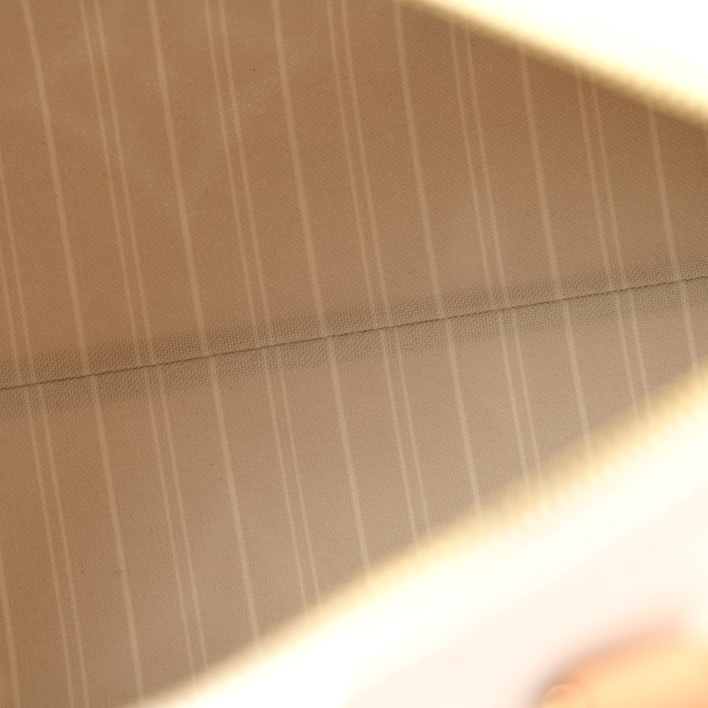 Monogram Giant By The Pool Speedy Bandouliere 25 Brume