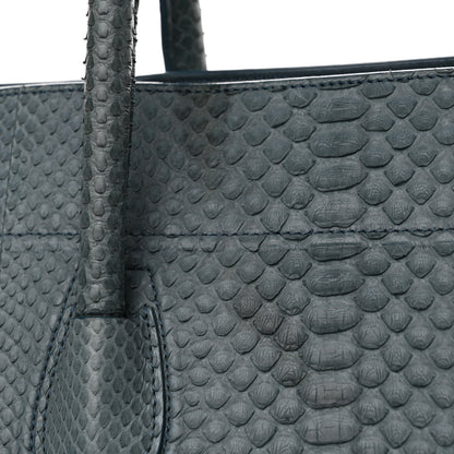 Celine Snakeskin Medium Phantom Luggage Grey 18 of 22