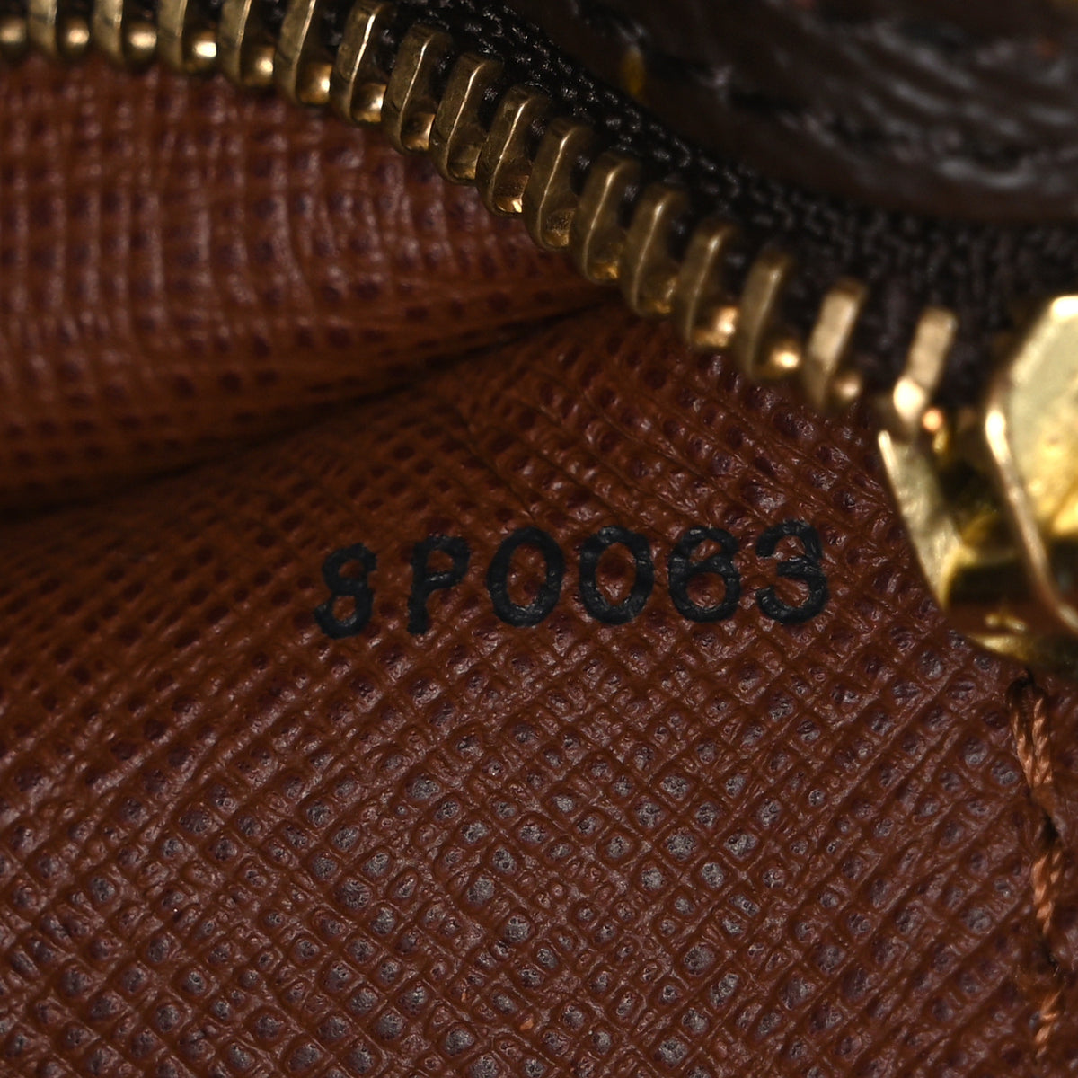 Monogram Papillon 30 with Companion