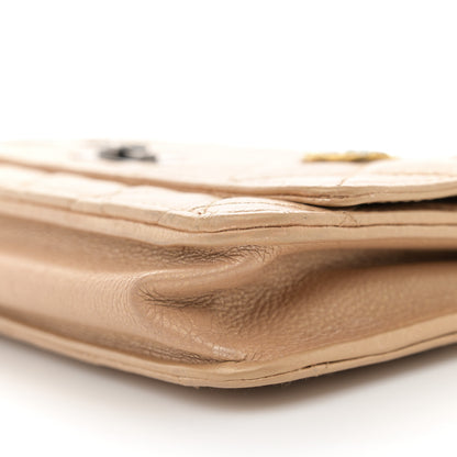 Chanel Metallic Calfskin Lucky Charms Casino 2.55 Reissue Wallet On Chain WOC Beige 11 of 12
