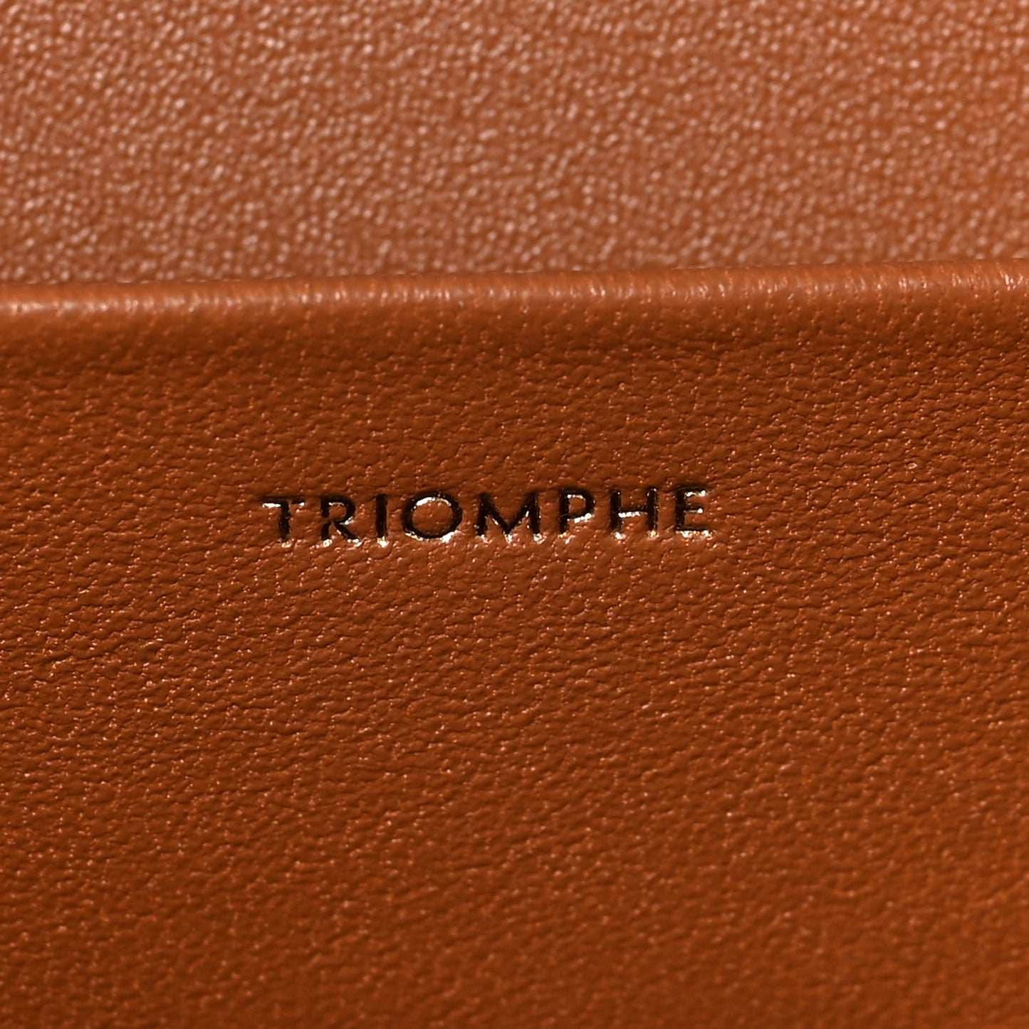 Calfskin Triomphe Canvas Teen Triomphe Bag Tan