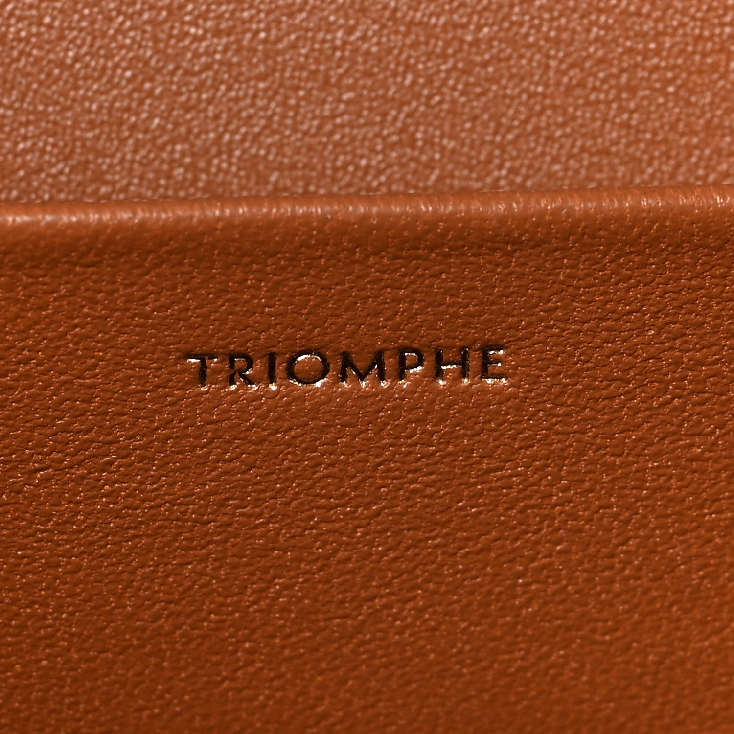 Celine Calfskin Triomphe Canvas Teen Triomphe Bag Tan 6 of 10