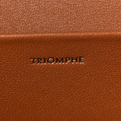 Celine Calfskin Triomphe Canvas Teen Triomphe Bag Tan 6 of 10