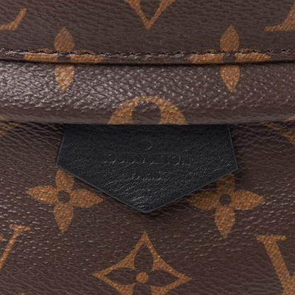 Louis Vuitton Monogram Palm Springs Backpack PM 9 of 9