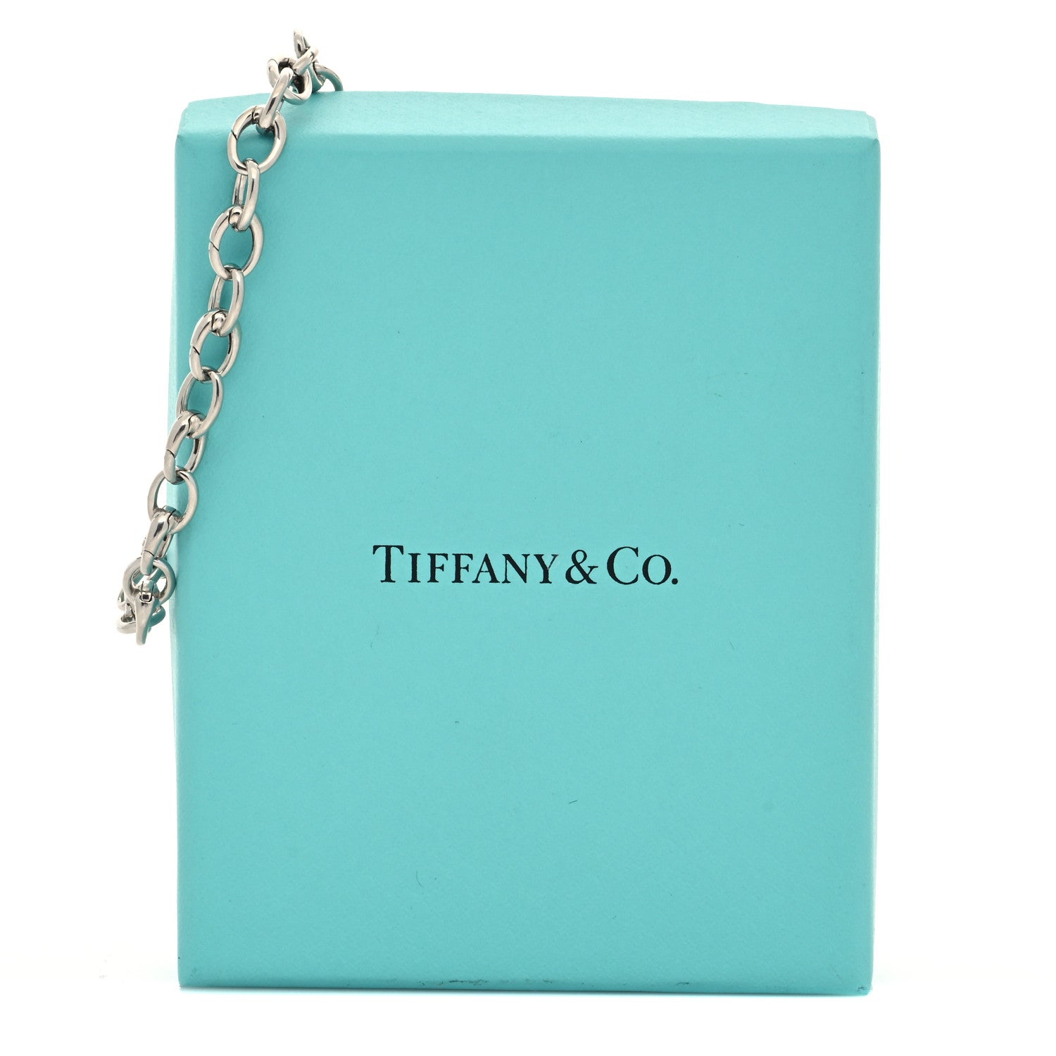 Tiffany Platinum Oval Clasping Link Bracelet 5 of 5
