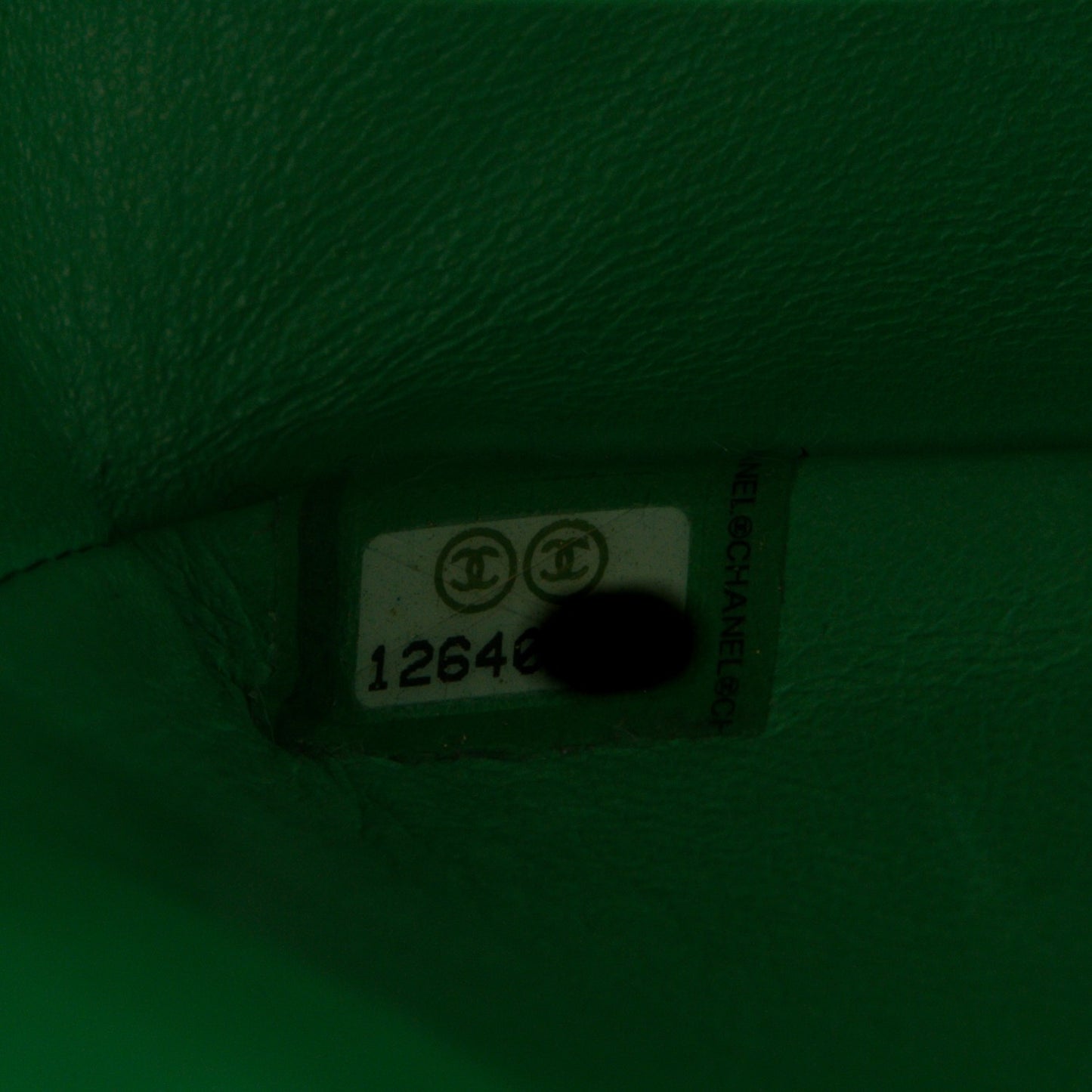 Alligator Medium Double Flap Light Green