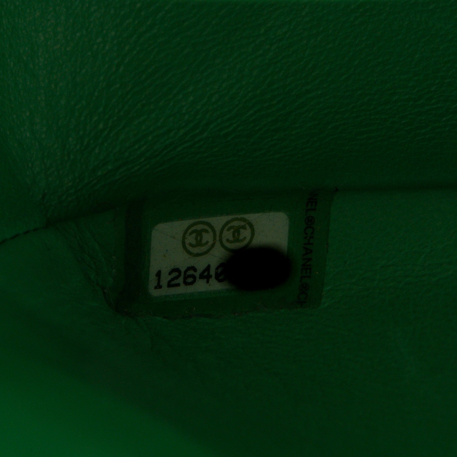 Chanel Alligator Medium Double Flap Light Green 8 of 8