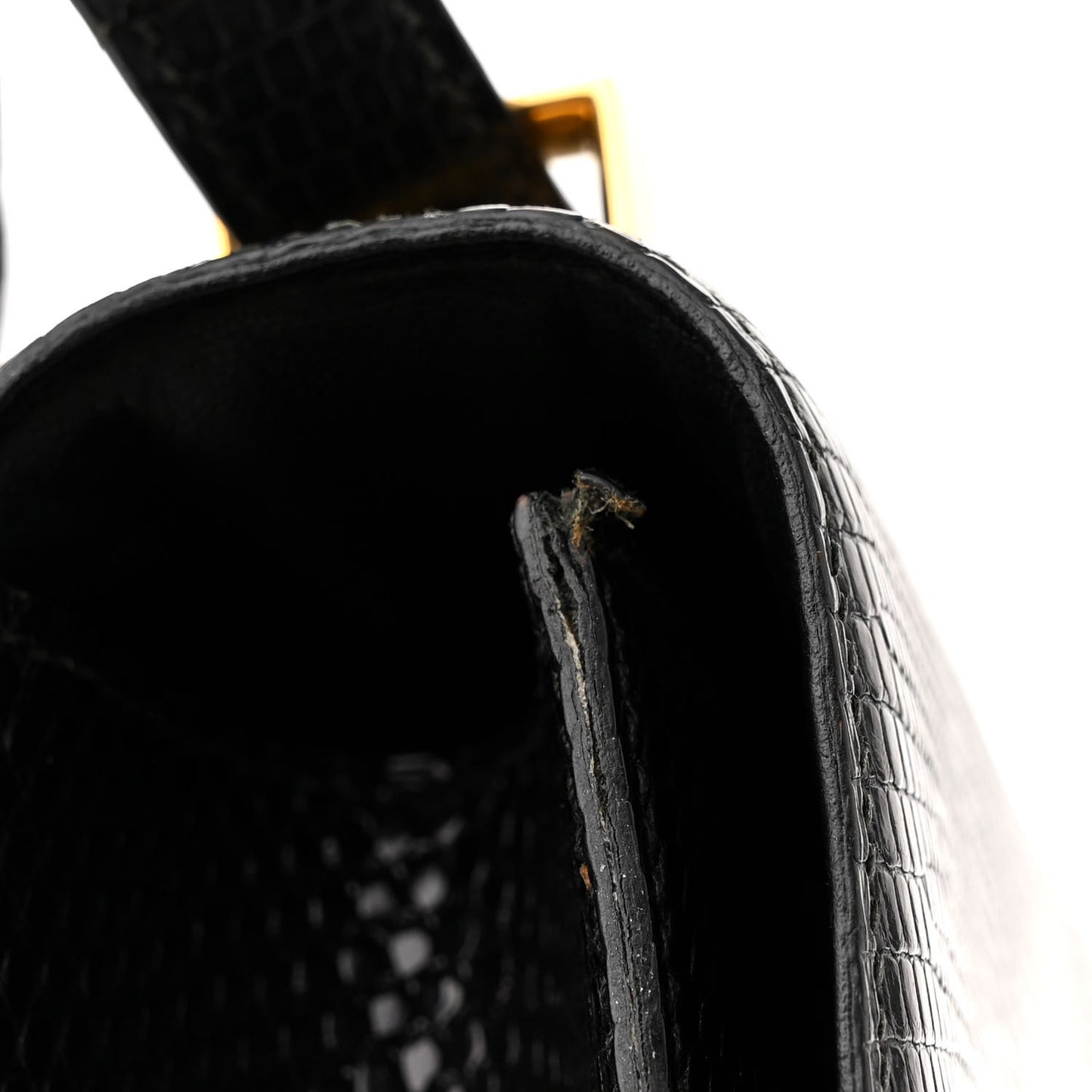 Lizard Constance 24 Black