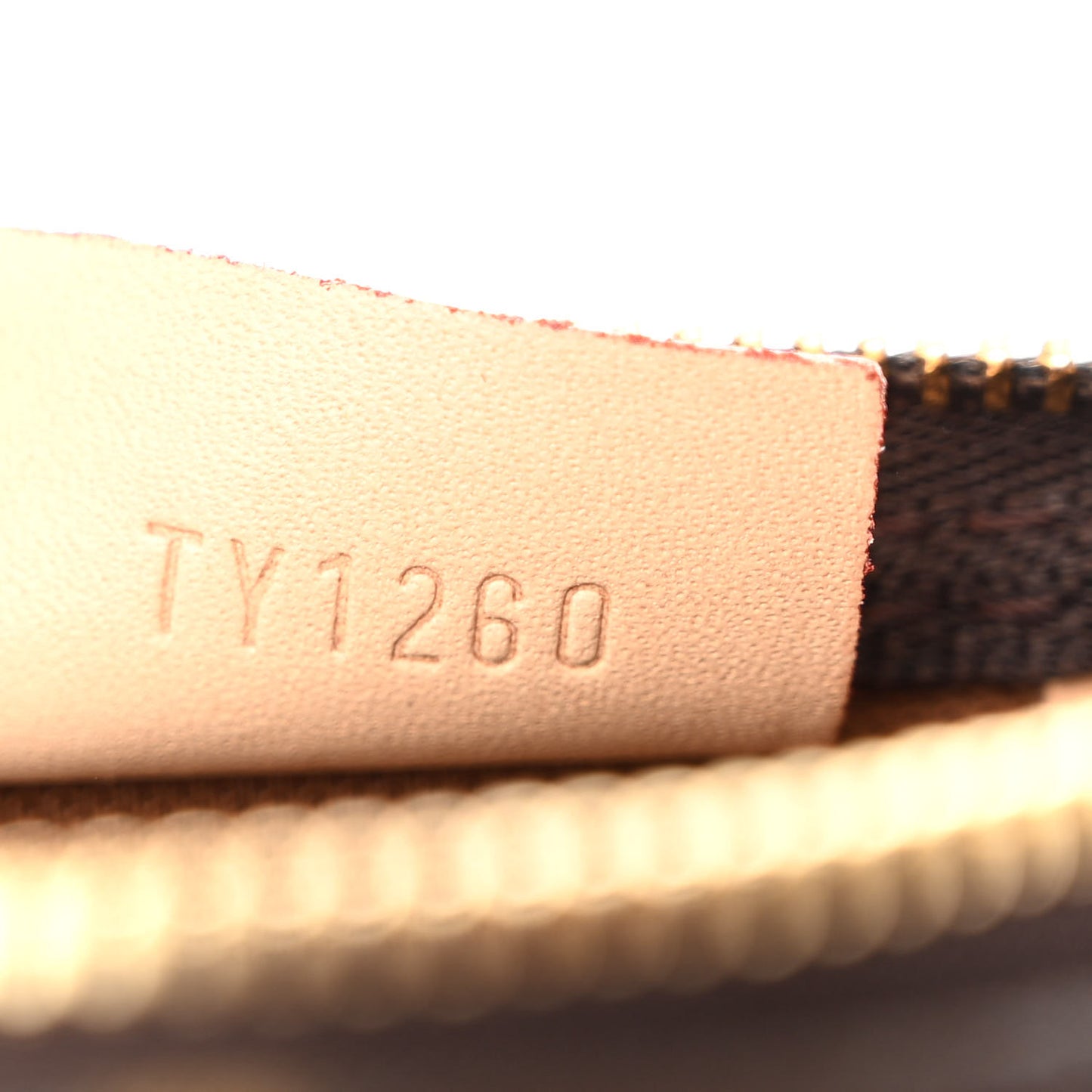 Monogram Nano Speedy