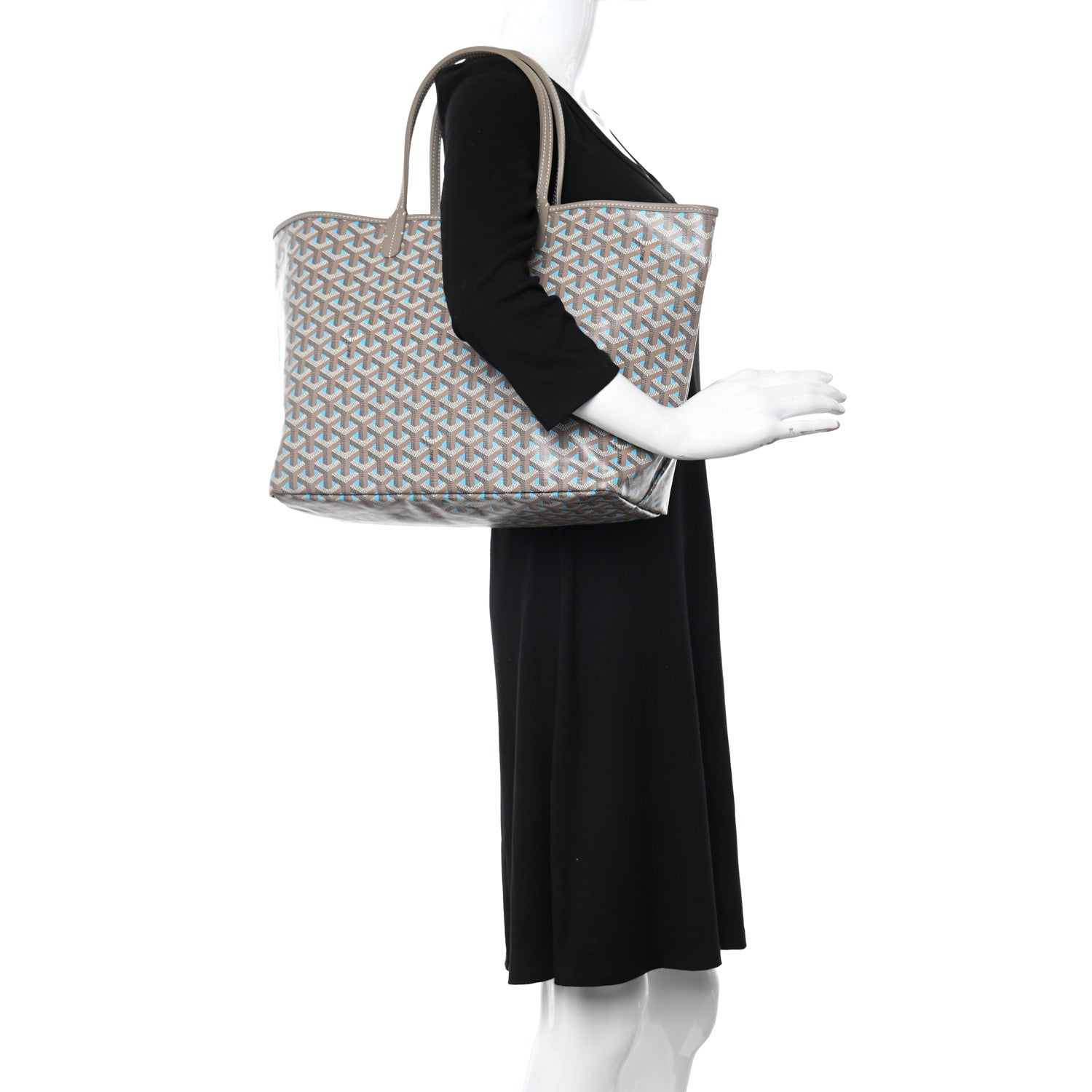 Goyard Goyardine Saint Louis Claire Voie PM Grege Turquoise 2 of 12