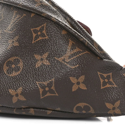Louis Vuitton Monogram Bumbag 9 of 10