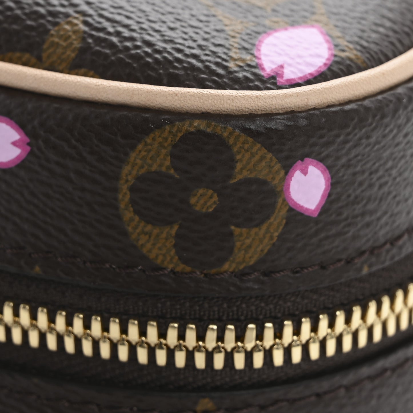 LV x TM Monogram Cherry Blossom Nice Mini