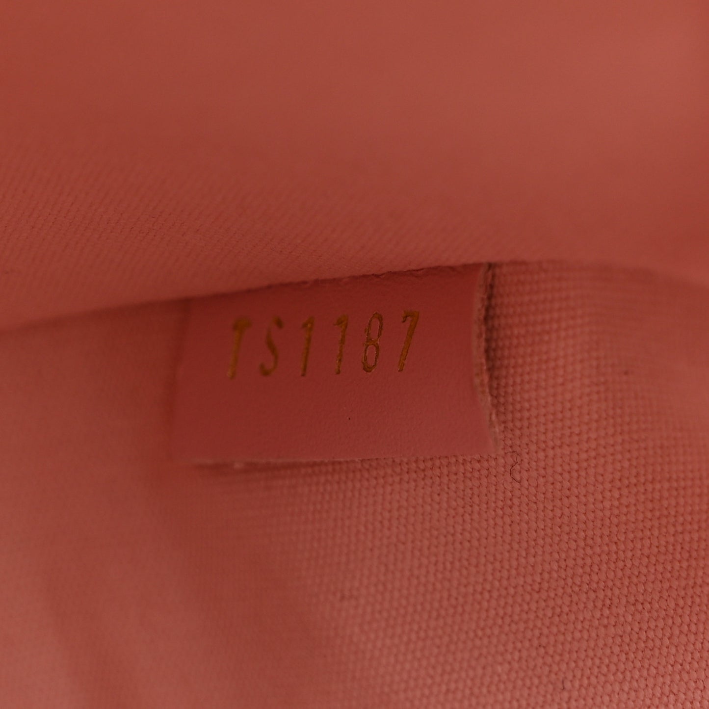 Vernis Camera Pouch Rose Ballerine