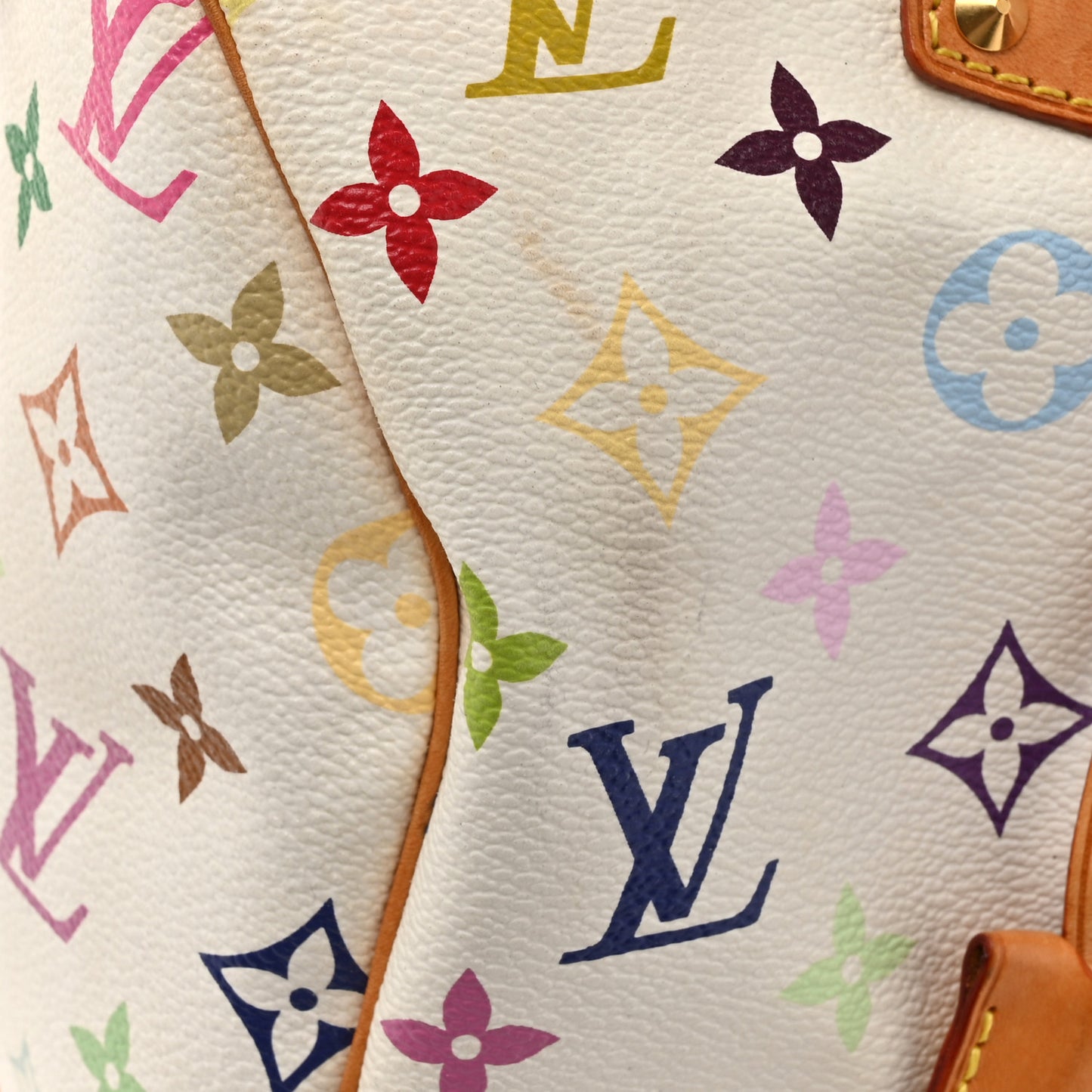 Monogram Multicolor Speedy 30 White