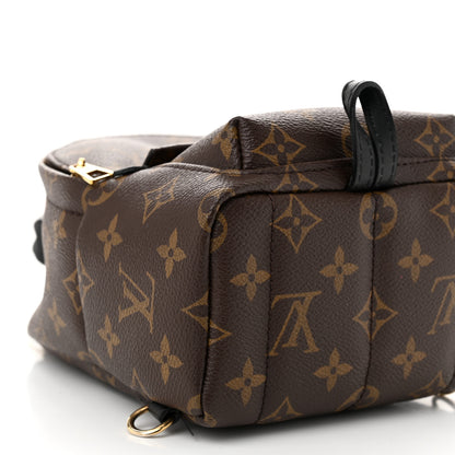 Louis Vuitton Monogram Palm Springs Backpack Mini 9 of 10