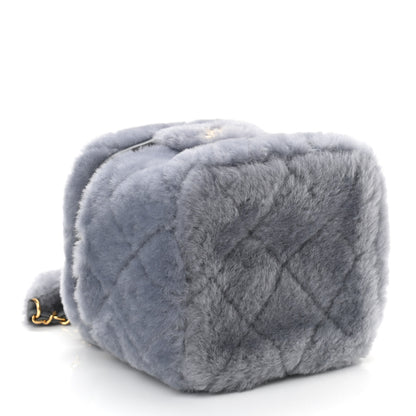 Chanel Shearling Lambskin Quilted Small Vanity Case Grey 4 of 11