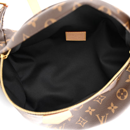 Louis Vuitton Monogram Bumbag 5 of 10