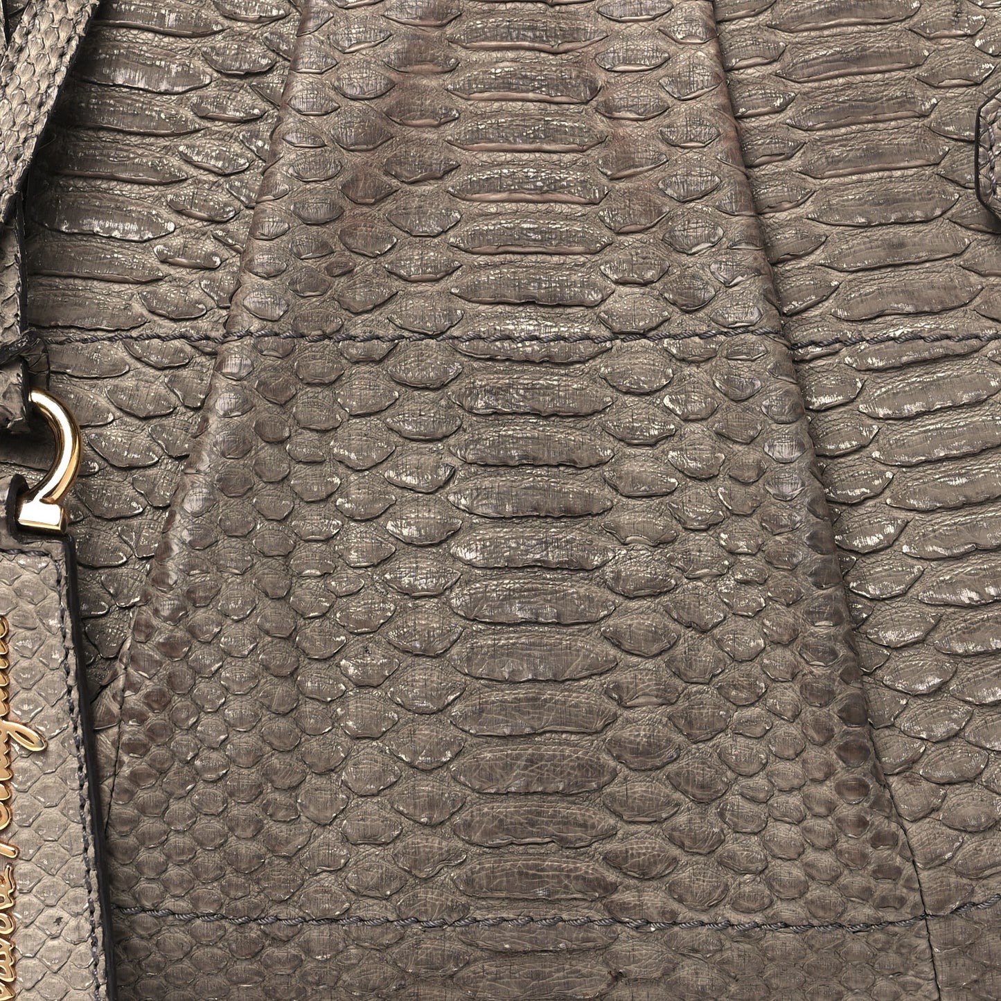 Snakeskin Gancio Satchel Clutch