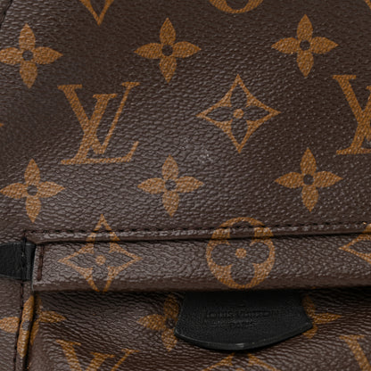 Louis Vuitton Monogram Palm Springs Backpack Mini 13 of 15