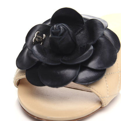 Chanel Lambskin Quilted Camellia CC Slides 37.5 Beige 11 of 11